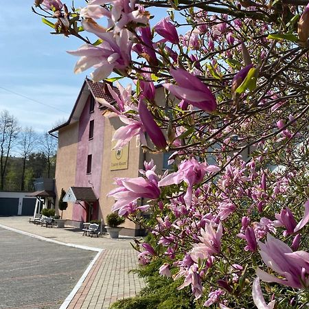 Obiekt "Czarny Rycerz" Apart otel Jastrzębie Zdrój Dış mekan fotoğraf