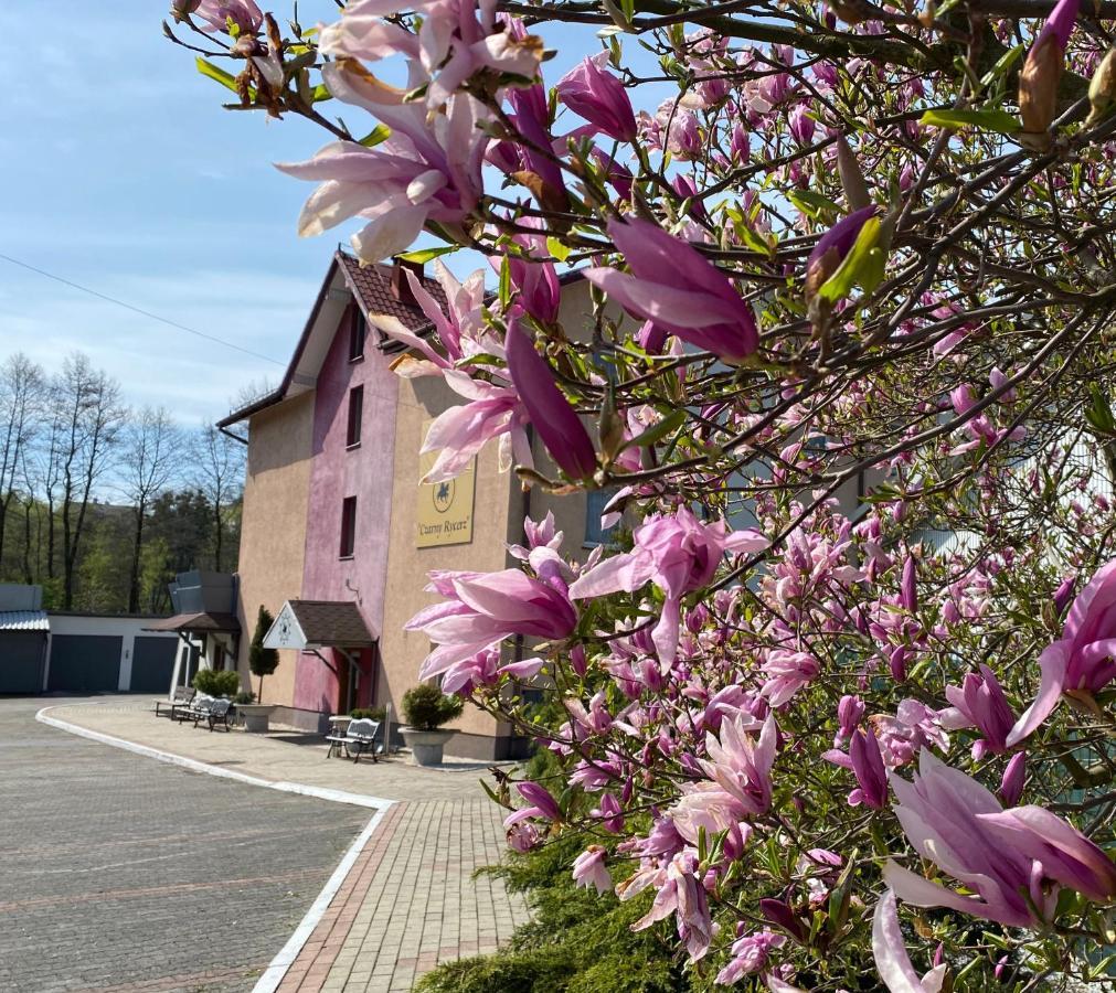 Obiekt "Czarny Rycerz" Apart otel Jastrzębie Zdrój Dış mekan fotoğraf